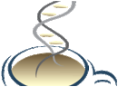 cafe_des_sciences